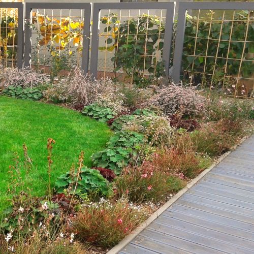 Záhon s trelážemi