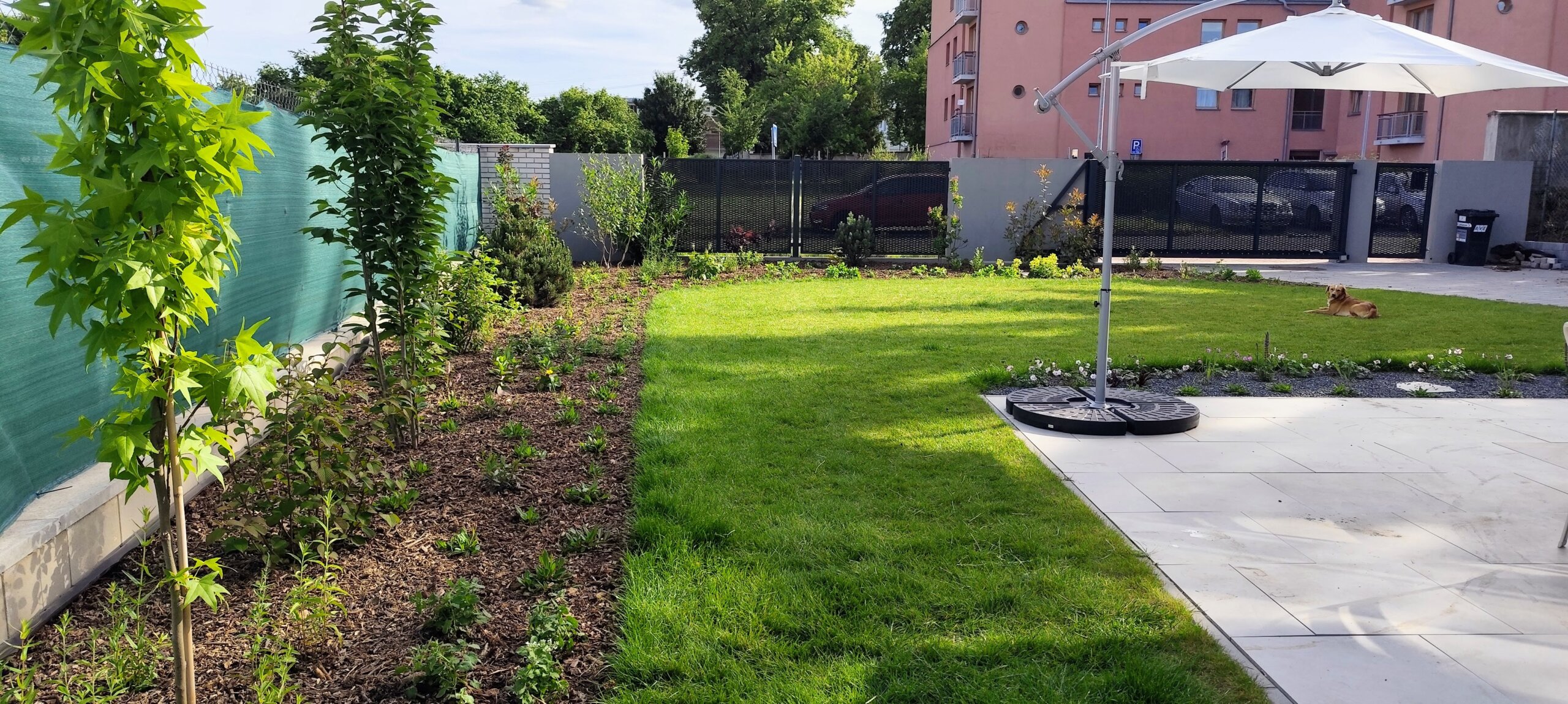 nová trvalková výsadba