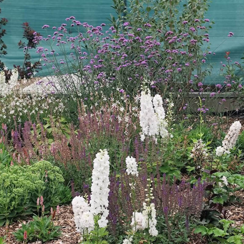 Realizace zahrady, Ďáblice