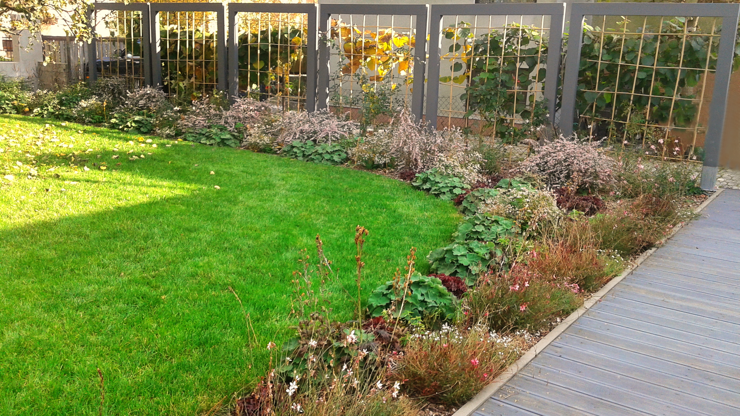 treláže pro růže