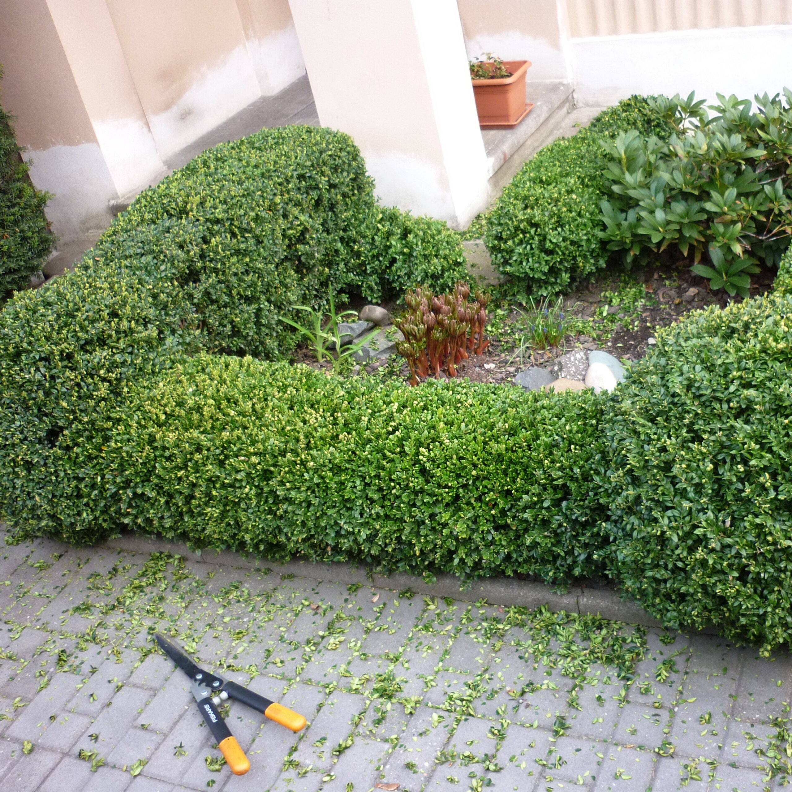 stříhání rostlin do tvarů